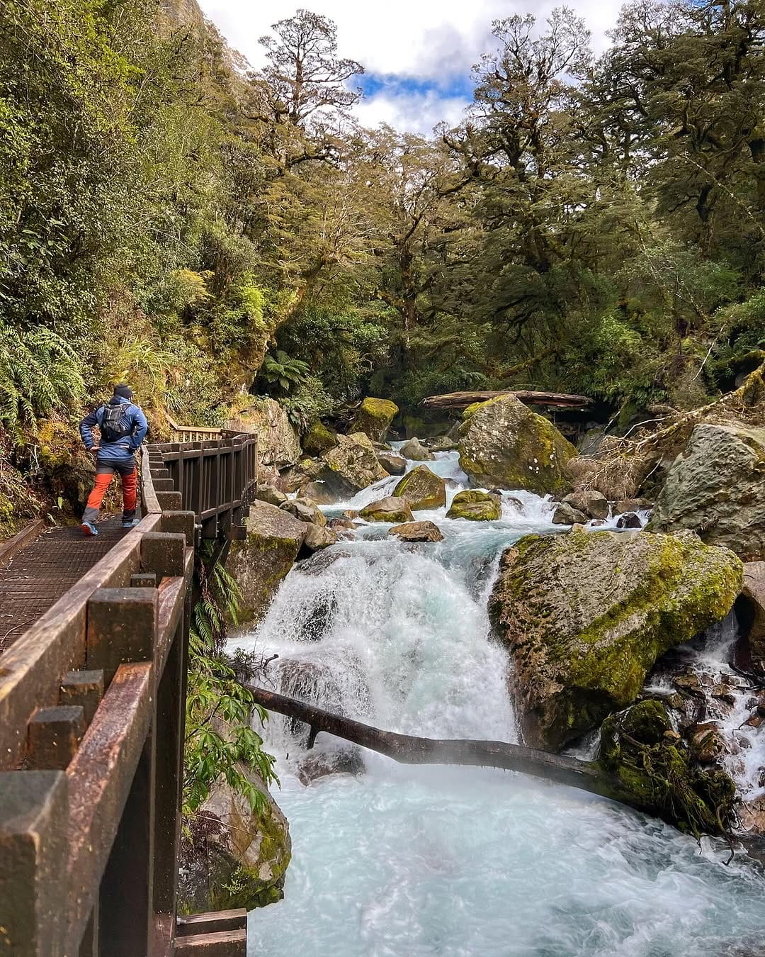 sentier lake marian nouvelle zeland